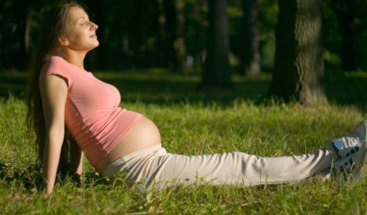 Gravid