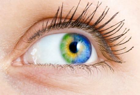 eye
