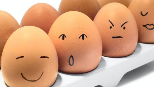 egg2.jpg