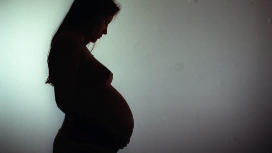 gravid sort