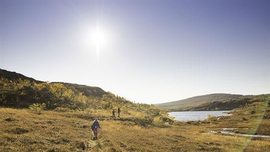 Fjellet