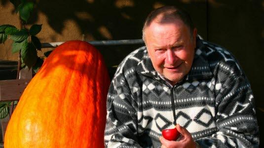frukt, sunn mat.jpg