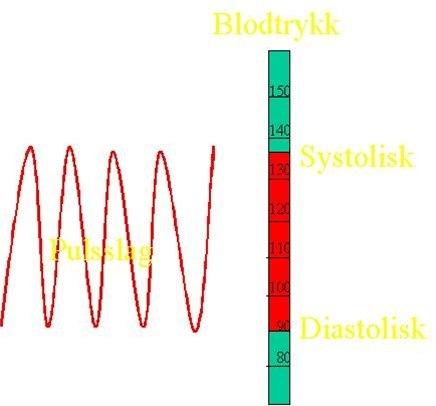 Figus som viser bølge med avstanden mellom systolisk og diastolisk blodtrykk. 