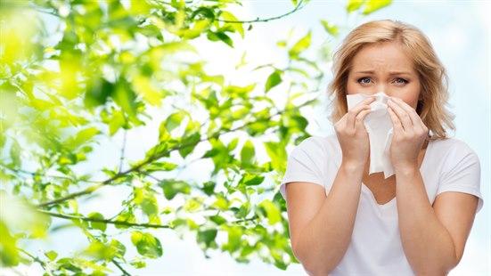 Allergi