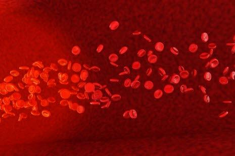 red bloodcells