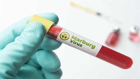 Illustrasjonsfoto av en hånd iført en blå hanske, som holder et blodprøveglass merket med 'Marburg-virus'.
