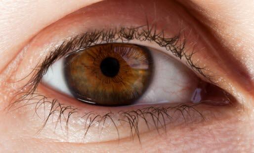 Eye