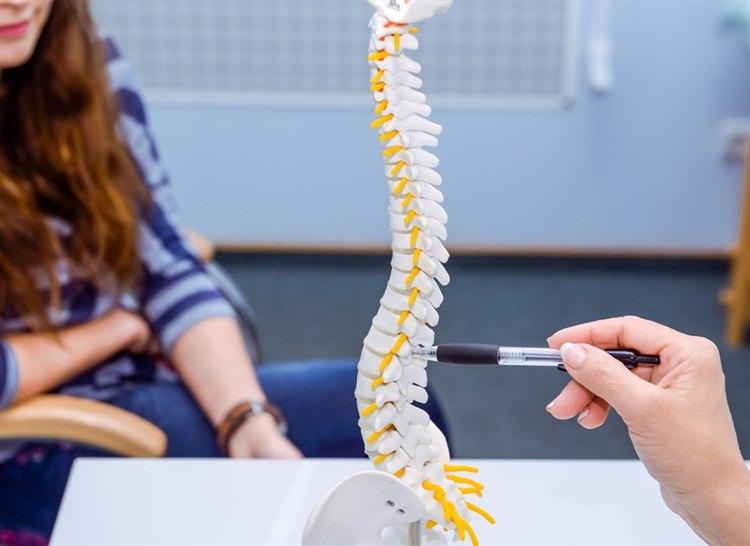 Ung jente som blir vist en anatomisk modell av ryggsøylen i læringssammenheng