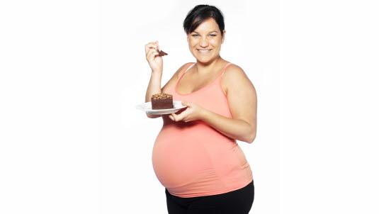 Gravid