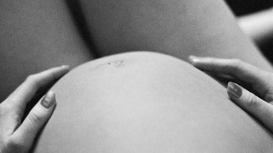 gravid.jpg