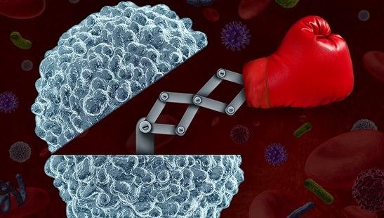 Immune system