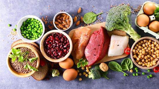 Proteinrik mat