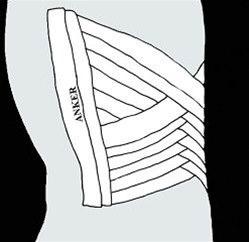 Ribbeinsteiping bilde#8