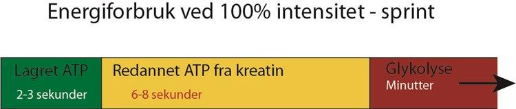 EnergiforbrukATP.jpg