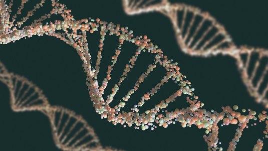 DNA
