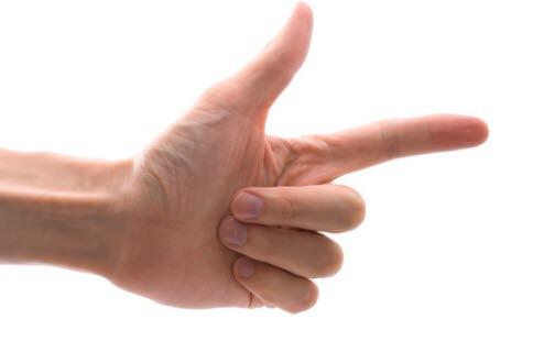 Fingre