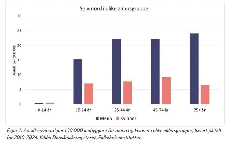 Søylediagram som viser selvmord i ulike aldersgrupper i perioden 2010-2024. Den viser svært få selvmord før 15 år, så en sterk stigning fram til ca. 25 års alder, deretter 20-25 selvmord pr 100 000