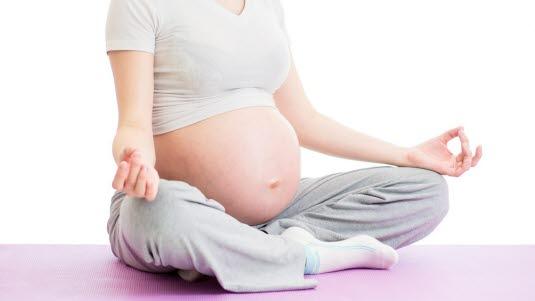 Gravid