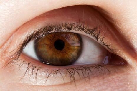 Eye