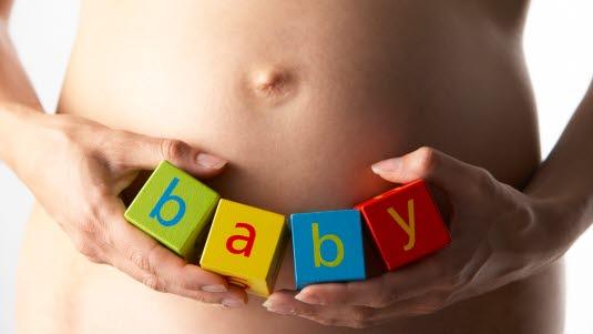 gravid