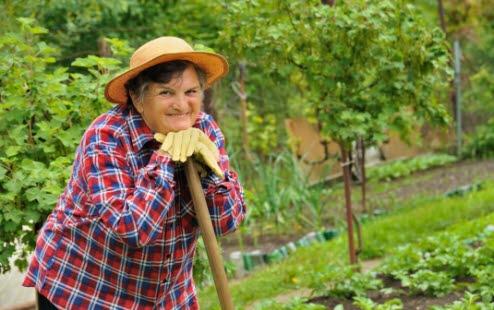 Gardening