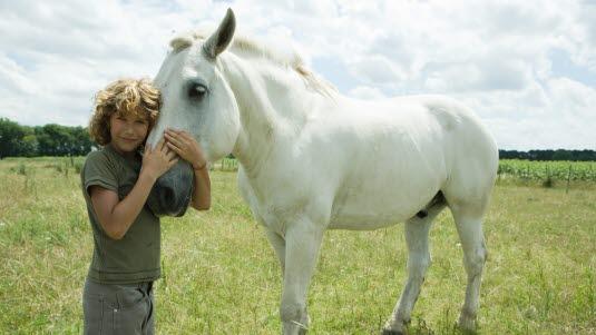 gutt,hest,.jpg