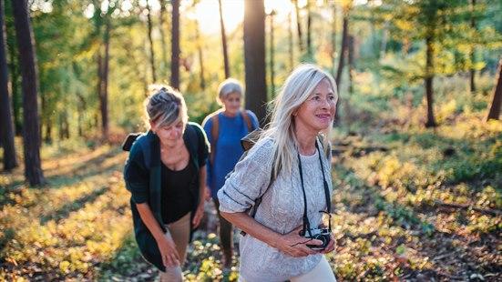 Illustrasjonsbilde av tre kvinner som går tur i skogen.