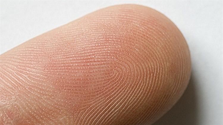 finger