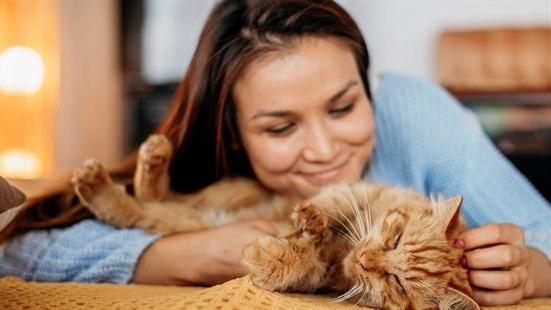 Katt og katteeier