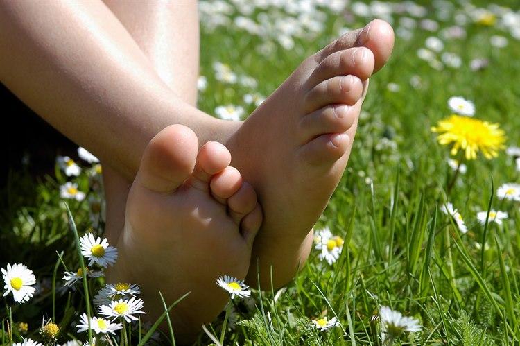 flåttsommer