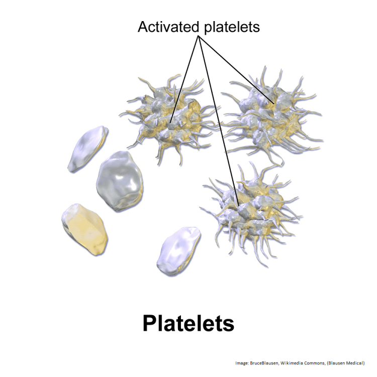 Blodplater.png