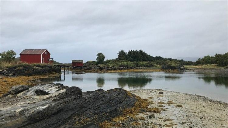 Toft3.jpg