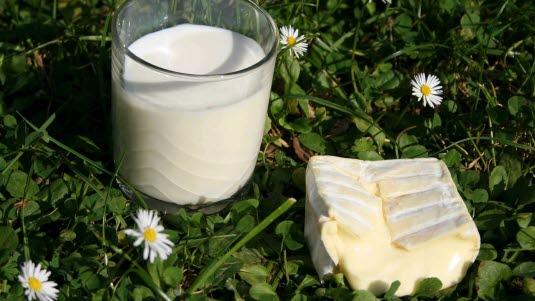 melk