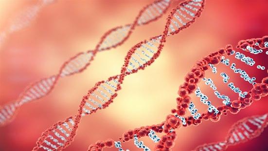 Dobbelttrådet DNA
