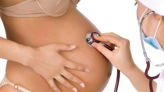 Gravid