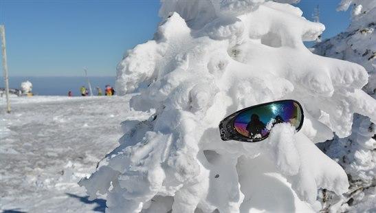 Illustrasjonsfotoet viser et tre dekket av snø med et par solbriller plassert på en gren