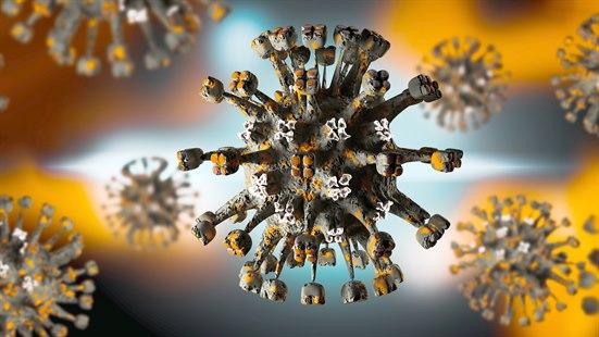 Coronavirus