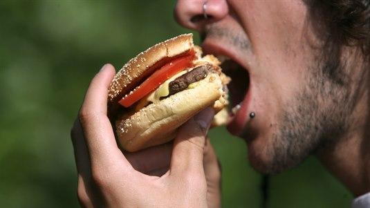 Hamburger
