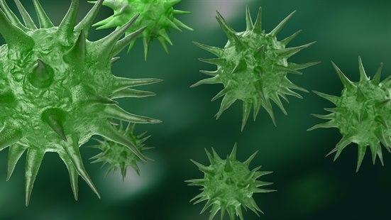 Epstein-Barr virus