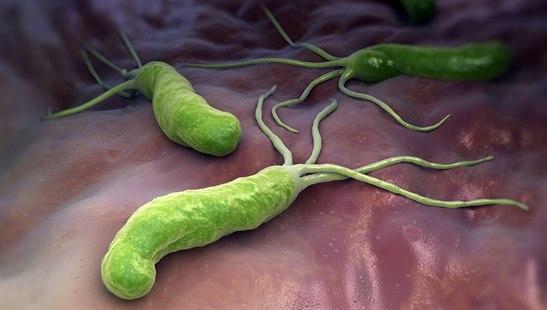  Helicobacter Pylori