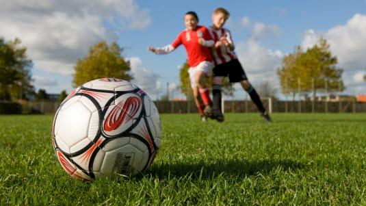 Fotballskade