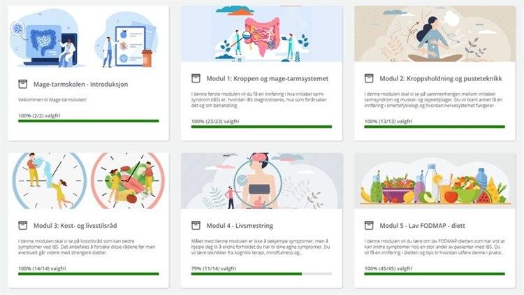 Illustrasjon som beskriver Mage-tarmskolen ved Helse Vest