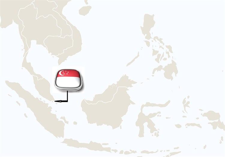 Singapore kart
