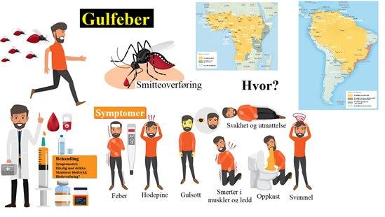 Yellow fever