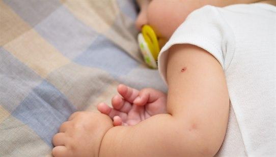 Vaccine