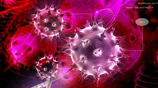 Immunsystemet