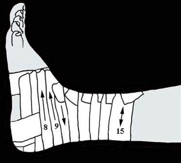 Fot, standardteiping bilde#5