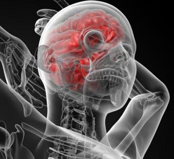 Illustrasjonsgrafikk som viser hode/hals området