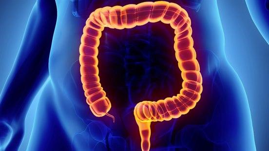 Illustrasjon av bekkenområdet med uthevelse av tykktarmens plassering og forløp.