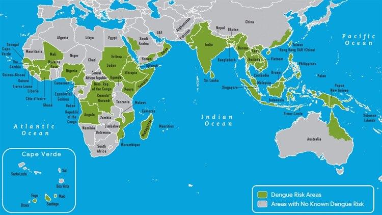 Dengue, utbredelse, Afrika, Asia, Australia.jpg